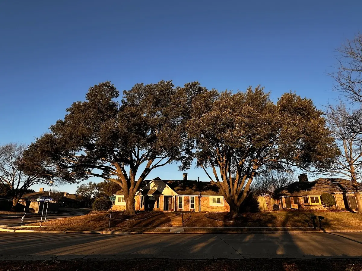 Established residential canopy tree shading a home in Pope Army Airfield