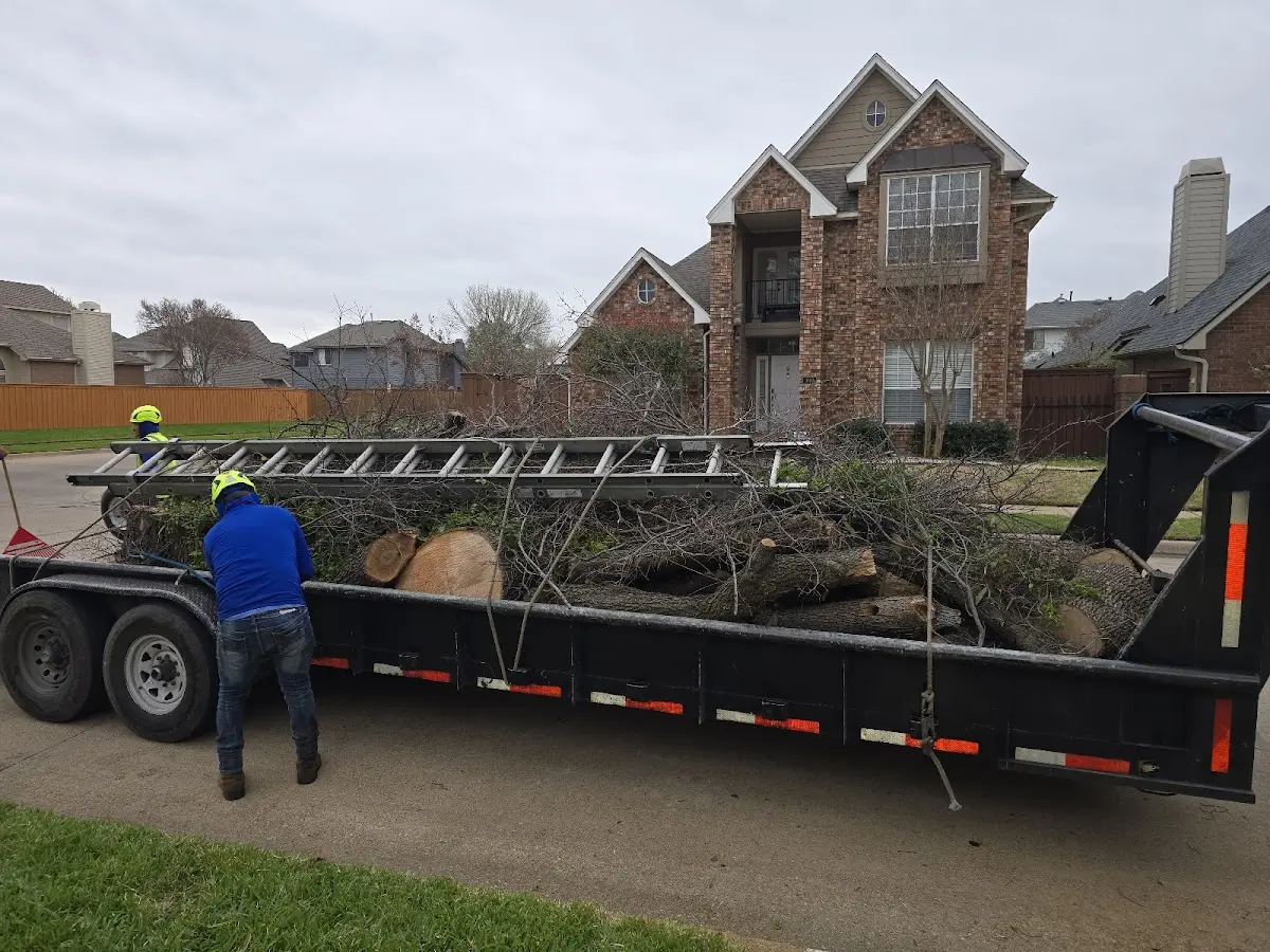 Expert Tree Removal with proper safety equipment in Pope Army Airfield